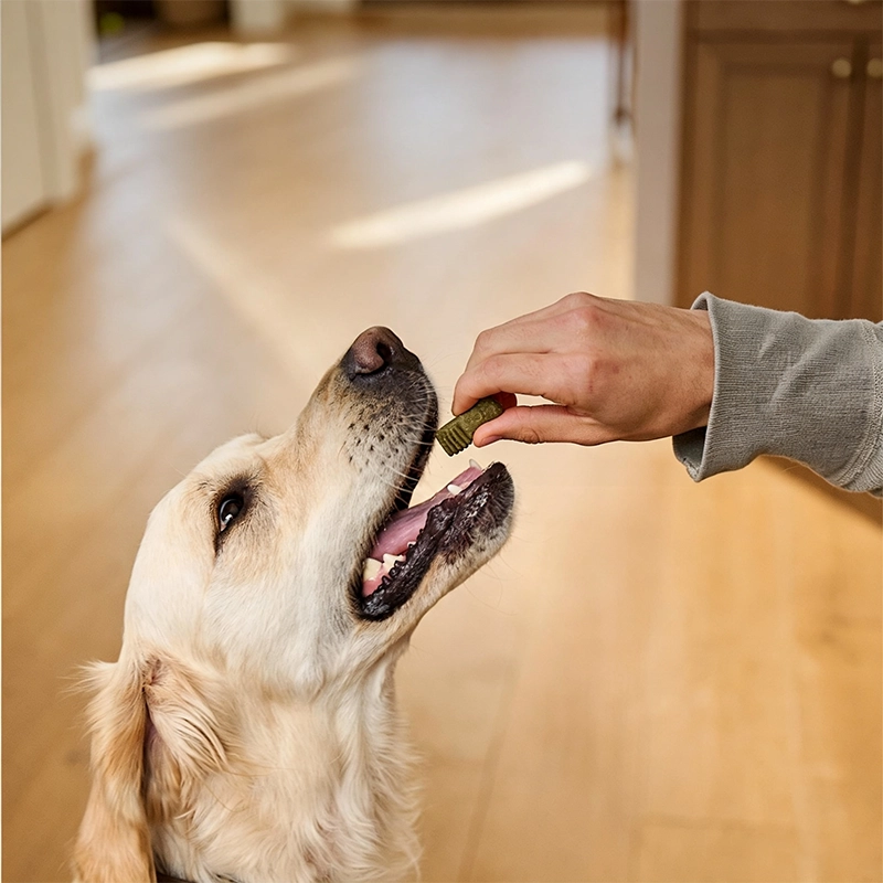 Greenies Official Store | Dog Treats, Dental Care & Pet Supplements