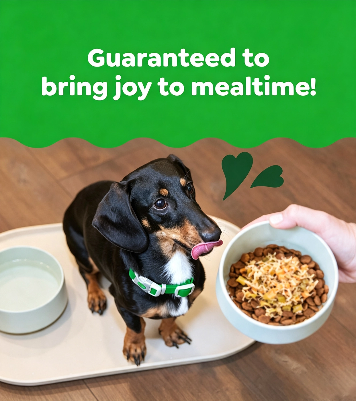 Greenies Official Store | Dog Treats, Dental Care & Pet Supplements